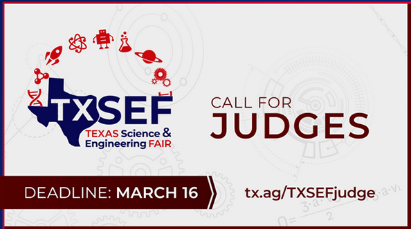 Texas Science and Engineering Fair Call for Judges motion ad design example screenshot